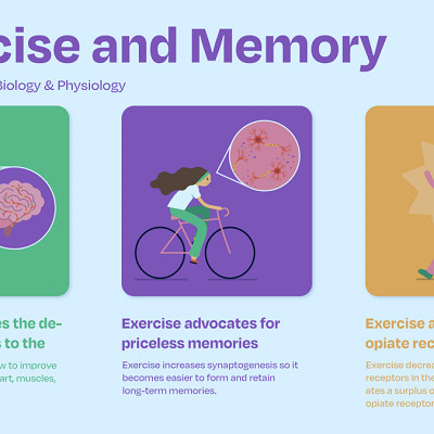 How exercise affects the brain - BYU Life Sciences